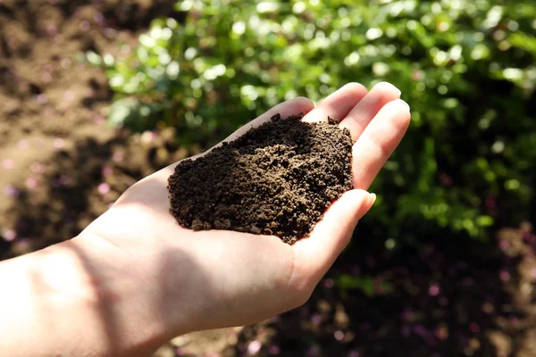 Handful of black soil above ground — Stock Photo, Image