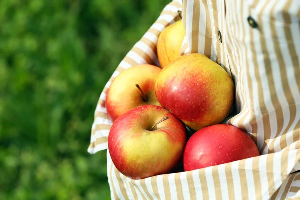 Red apples in hemline — Stock Photo, Image