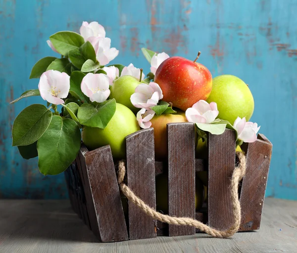 Čerstvá jablka s apple květ — Stock fotografie