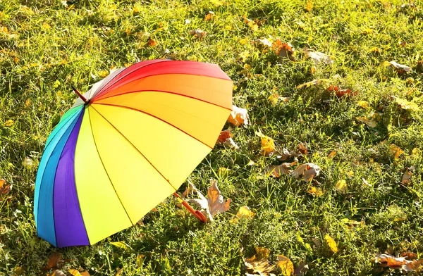 Colorful umbrella on grass, outdoors — Stock Photo, Image