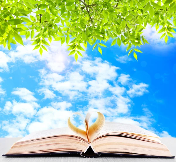 Opened book on table on nature background — Stock Photo, Image