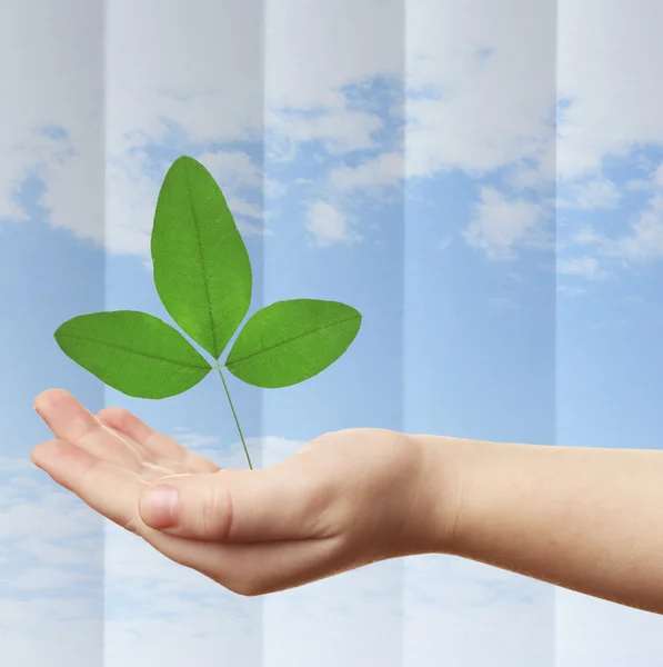 Mano femenina con hoja verde en el fondo del cielo — Foto de Stock