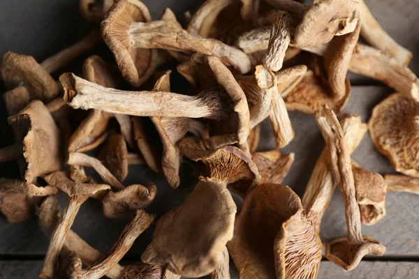 Gedroogde champignons, close-up — Stockfoto