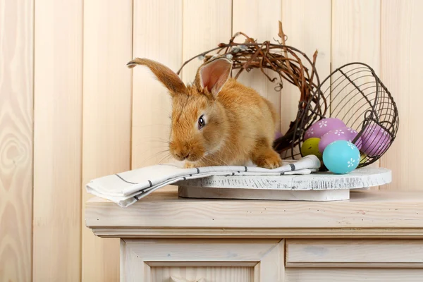 Carino coniglio rosso con uova di Pasqua su scaffale su sfondo parete di legno — Foto Stock