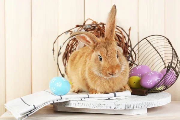 Cute red rabbit with Easter eggs on shelf on wooden wall background — Stock Photo, Image