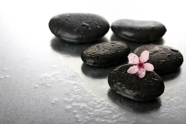 Wellness-Steine und Frühlingsblume auf dem Tisch aus nächster Nähe — Stockfoto