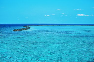 Okyanus suyu arkaplanı