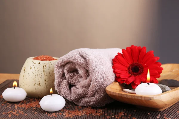 Composition of spa treatment on wooden table, on light color background — Stock Photo, Image