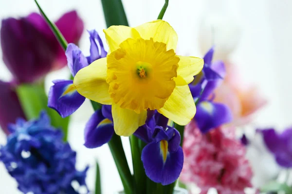 Beautiful bouquets of spring flowers, closeup — Stock Photo, Image