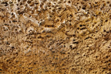 Çimento doku arka plan