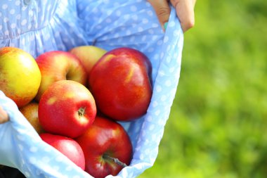 Elma boyu kadın giyim