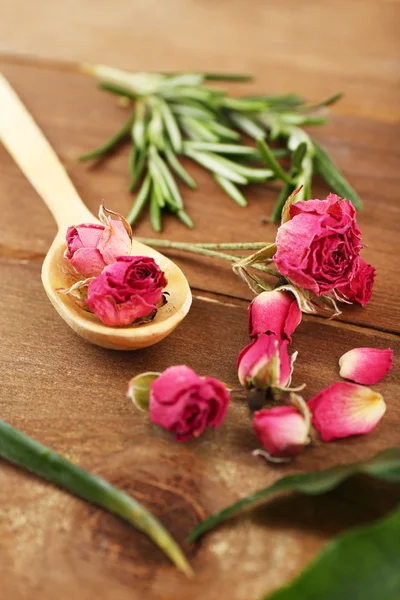 Gröna örter och blad — Stockfoto