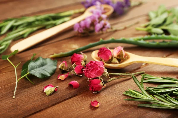 Green herbs and leaves — Stock Photo, Image