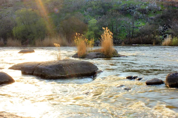 Весняний пейзаж з річкою, камінням і деревами — стокове фото