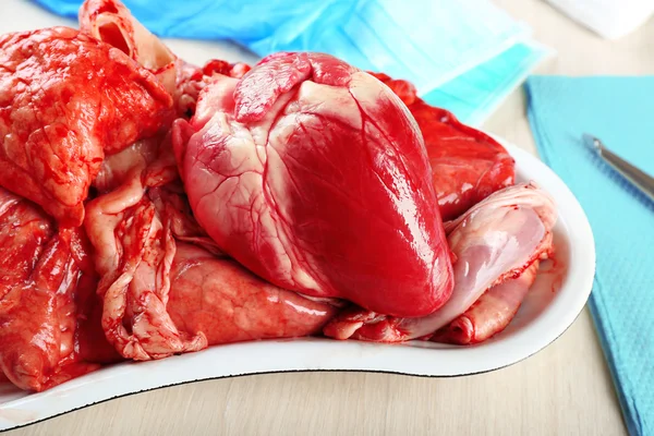 Heart organ in medical metal tray with tools on table, closeup — Stock Photo, Image