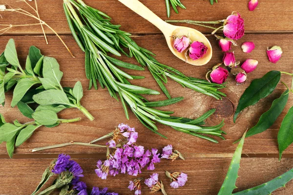 Green herbs and leaves — Stock Photo, Image