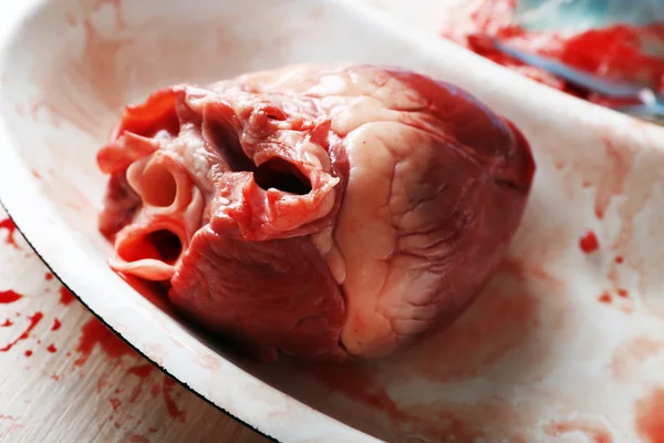 Καρδιά όργανο στο ιατρικό δίσκοι από μέταλλο — Φωτογραφία Αρχείου