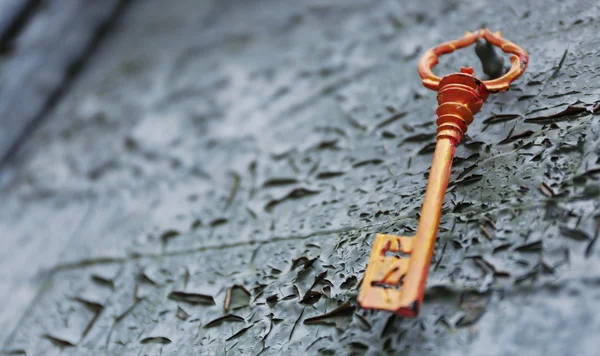 Old key on wooden antique door close-up — Stock Photo, Image