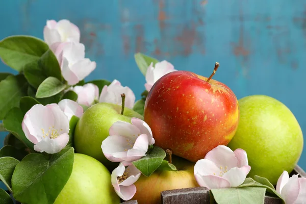 Manzanas frescas con flor de manzana, sobre fondo de madera azul —  Fotos de Stock