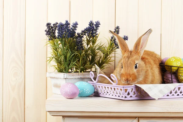 Mignon lapin rouge aux œufs de Pâques — Photo