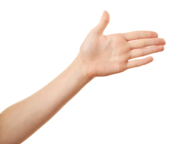 Wijfje hand geïsoleerd op wit — Stockfoto