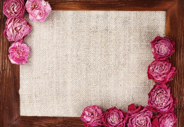 Ram av vackra torra blommor med ram på nära håll — Stockfoto