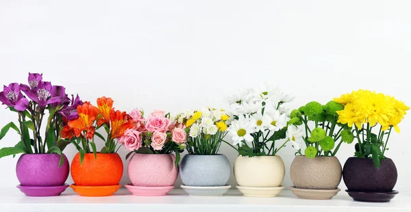 Vackra blommor i krukor på hyllan — Stockfoto