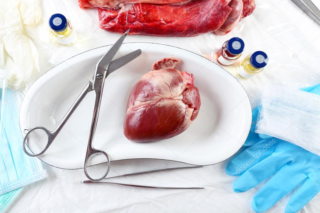 Heart organ in medical metal tray with tools