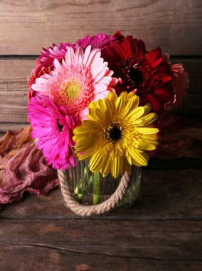 güzel parlak gerbera çiçekleri