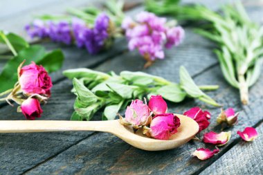 Yeşil otlar ve yaprakları