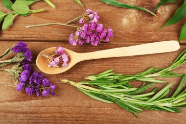 Yeşil otlar ve yaprakları