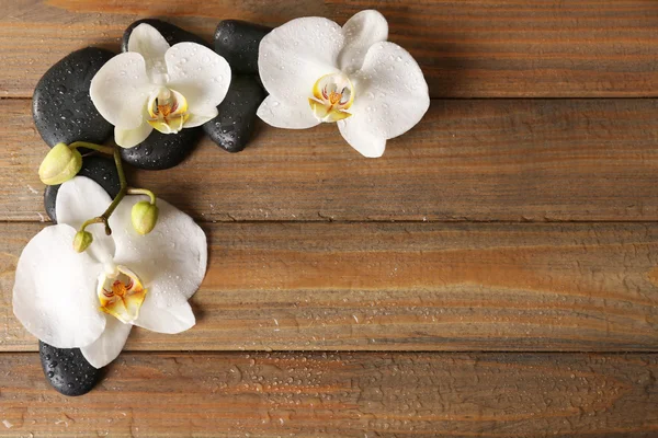 Pedras de spa e flor de orquídea — Fotografia de Stock