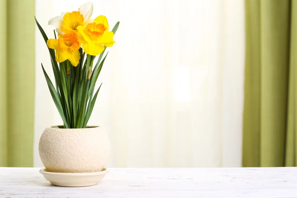 Beautiful daffodils in pot — Stock Photo, Image