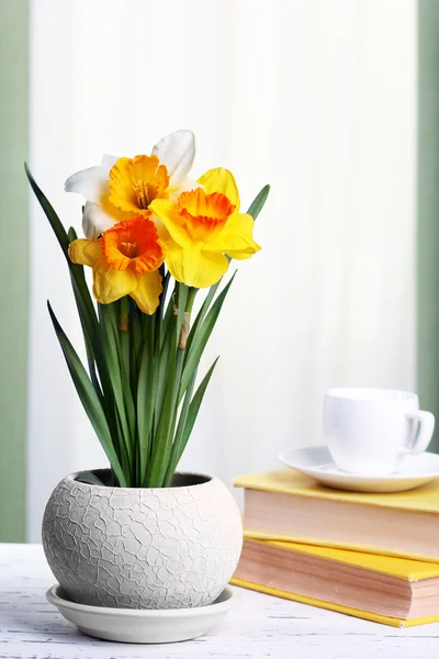 Beautiful daffodils in pot — Stock Photo, Image