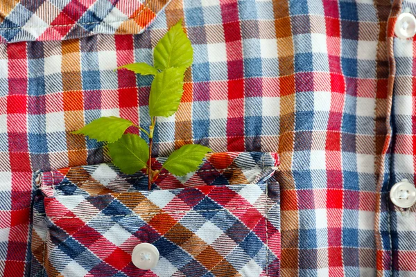 Twig dengan daun segar di saku kemeja — Stok Foto