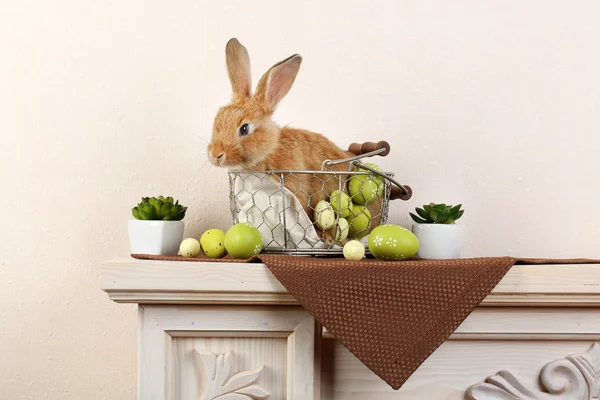 Paskalya yumurtaları ile şirin kırmızı tavşan — Stok fotoğraf