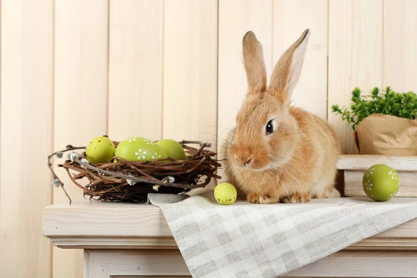 Süßes rotes Kaninchen mit Ostereiern — Stockfoto