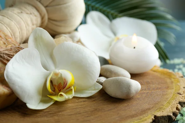 Натюрморт с красивой цветущей орхидеей — стоковое фото