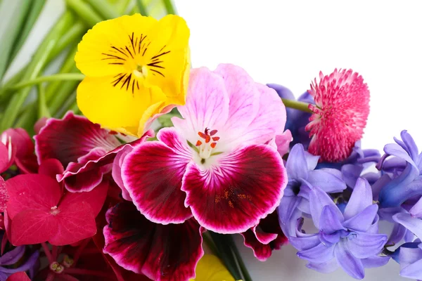 Güzel parlak çiçek buketi — Stok fotoğraf