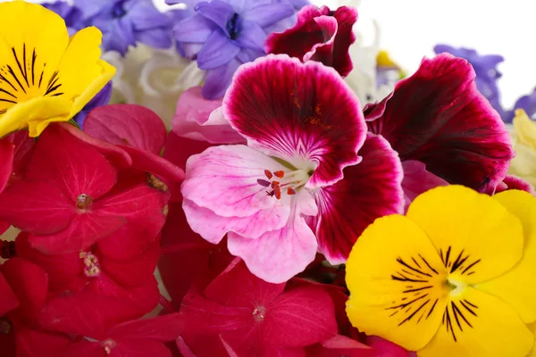 Belo buquê de flores brilhantes — Fotografia de Stock