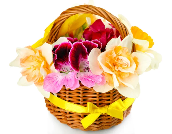 Beautiful flowers in basket — Stock Photo, Image