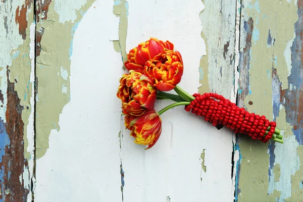 Mooie lichte tulpen — Stockfoto
