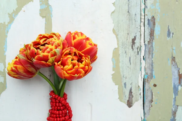 Schöne helle Tulpen — Stockfoto