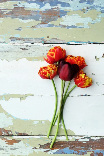 Schöne helle Tulpen — Stockfoto