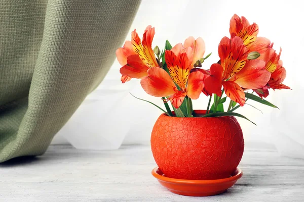 Hermosa alstroemeria en maceta en alféizar de ventana —  Fotos de Stock