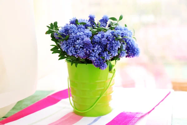 Vacker bukett av muscari — Stockfoto