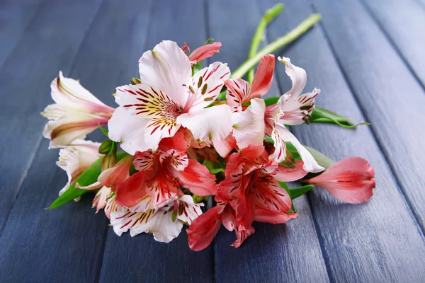 Beautiful alstroemeria on wooden background — Stock Photo, Image