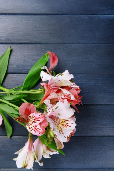 Mooie alstroemeria op houten achtergrond — Stockfoto