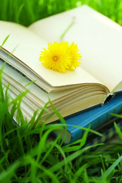 Skládané knihy v trávě — Stock fotografie