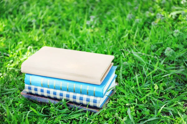 Libros apilados en hierba —  Fotos de Stock